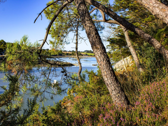 Découvrir le Golfe du Morbihan