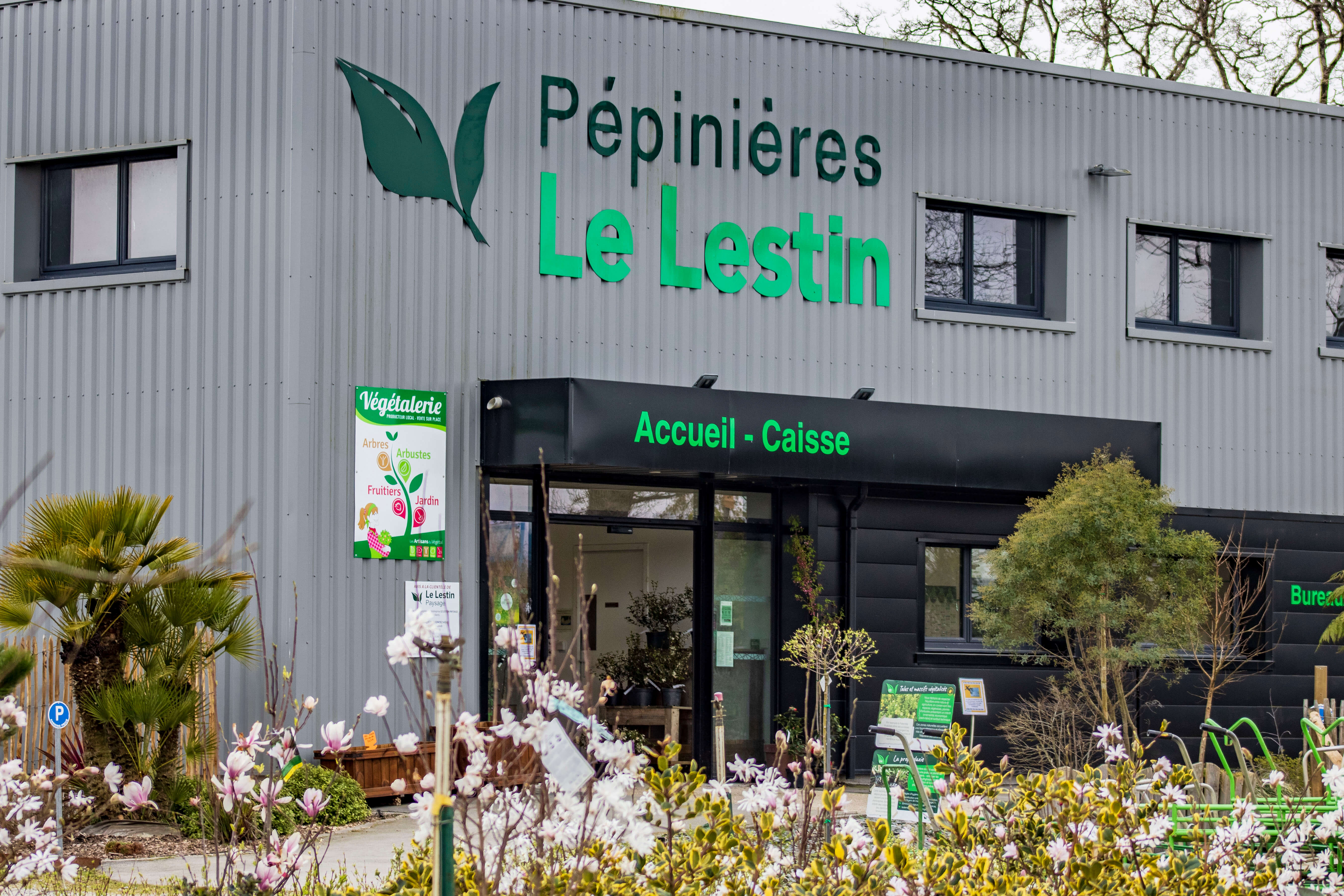 À la découverte de la pépinière Le Lestin : un producteur de végétaux à Muzillac